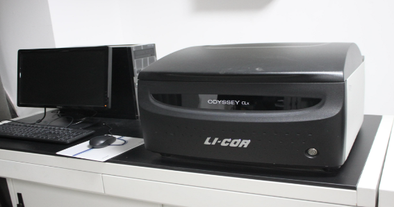 进口双色红外激光成像系统