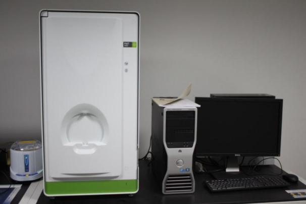 小动物活体成像